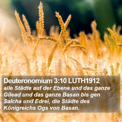 Deuteronomium 3:10 LUTH1912 Bible Verse Image
