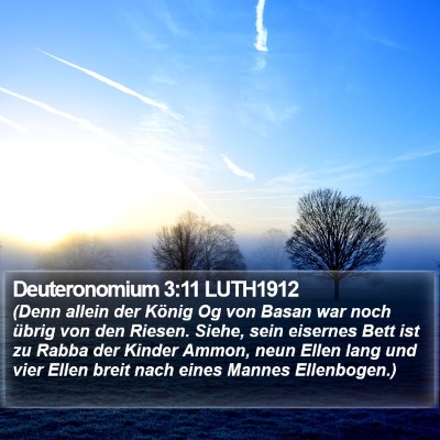 Deuteronomium 3:11 LUTH1912 Bible Verse Image