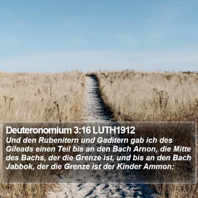 Deuteronomium 3:16 LUTH1912 Bible Verse Image