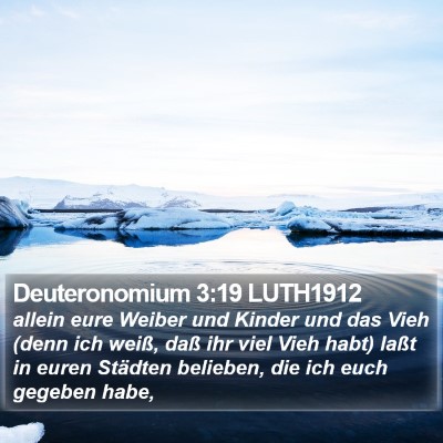 Deuteronomium 3:19 LUTH1912 Bible Verse Image