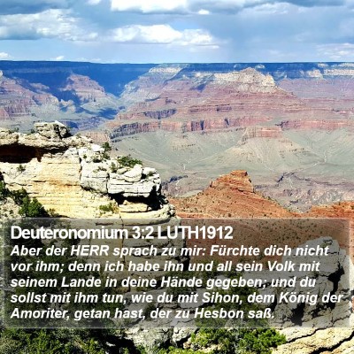 Deuteronomium 3:2 LUTH1912 Bible Verse Image