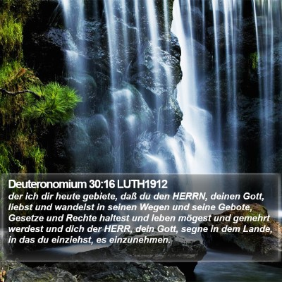 Deuteronomium 30:16 LUTH1912 Bible Verse Image