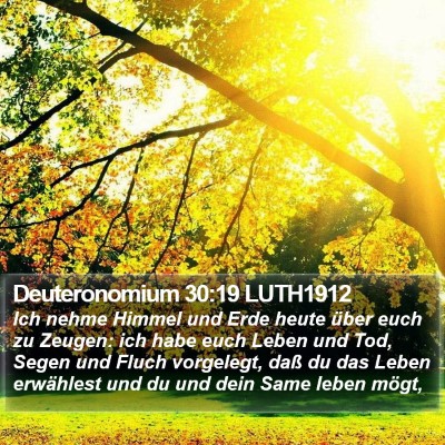 Deuteronomium 30:19 LUTH1912 Bible Verse Image