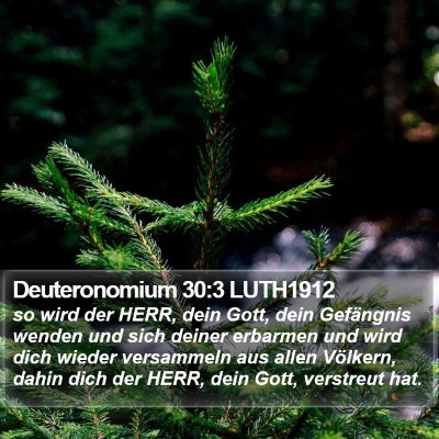 Deuteronomium 30:3 LUTH1912 Bible Verse Image