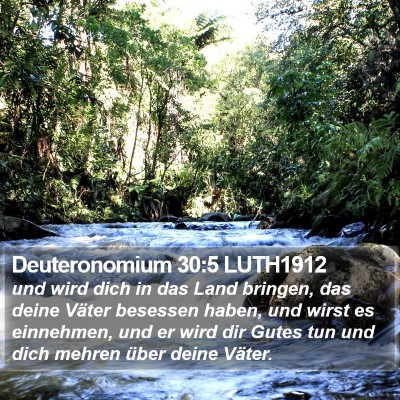 Deuteronomium 30:5 LUTH1912 Bible Verse Image