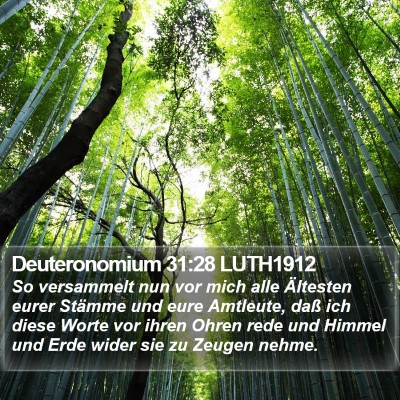 Deuteronomium 31:28 LUTH1912 Bible Verse Image