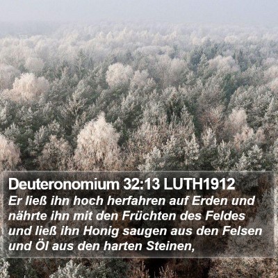 Deuteronomium 32:13 LUTH1912 Bible Verse Image