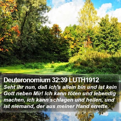 Deuteronomium 32:39 LUTH1912 Bible Verse Image