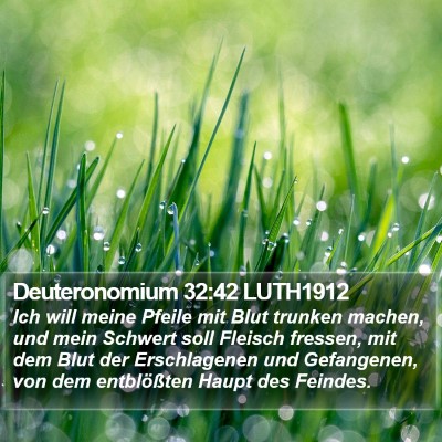 Deuteronomium 32:42 LUTH1912 Bible Verse Image