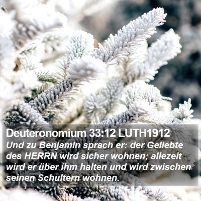Deuteronomium 33:12 LUTH1912 Bible Verse Image