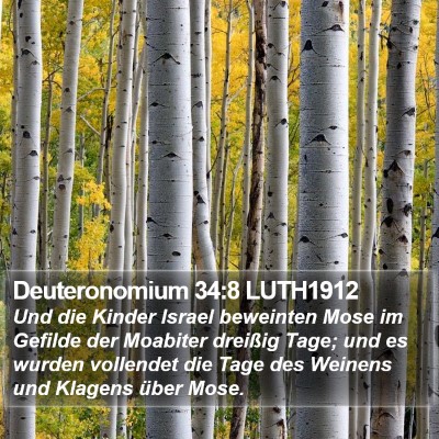 Deuteronomium 34:8 LUTH1912 Bible Verse Image