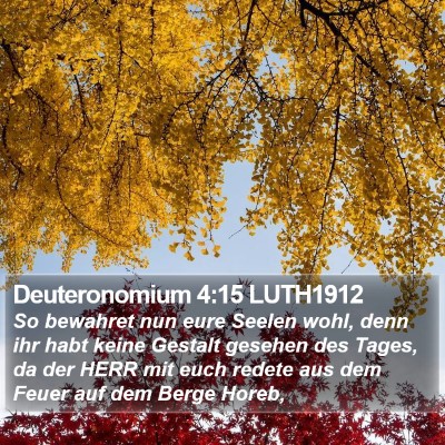Deuteronomium 4:15 LUTH1912 Bible Verse Image