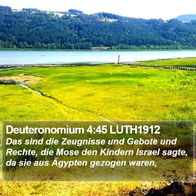 Deuteronomium 4:45 LUTH1912 Bible Verse Image