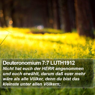 Deuteronomium 7:7 LUTH1912 Bible Verse Image