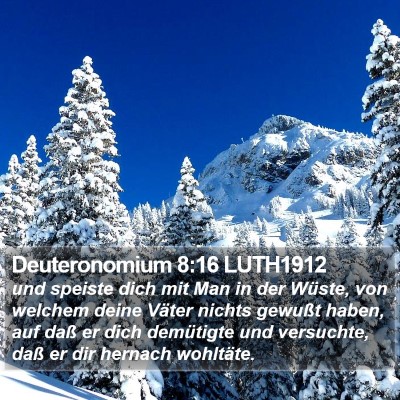 Deuteronomium 8:16 LUTH1912 Bible Verse Image