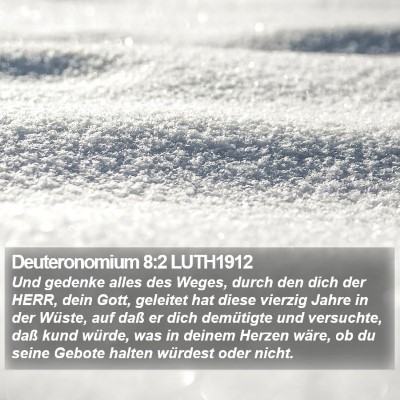Deuteronomium 8:2 LUTH1912 Bible Verse Image