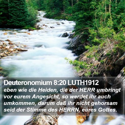 Deuteronomium 8:20 LUTH1912 Bible Verse Image