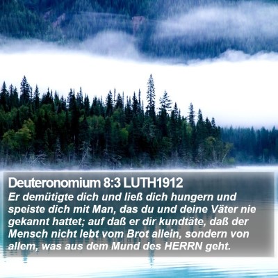 Deuteronomium 8:3 LUTH1912 Bible Verse Image
