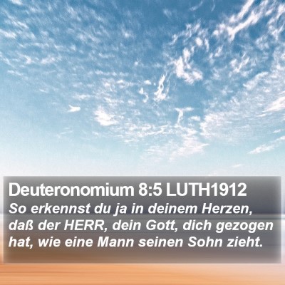 Deuteronomium 8:5 LUTH1912 Bible Verse Image