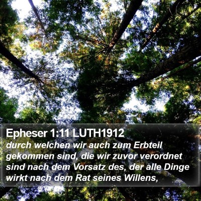 Epheser 1:11 LUTH1912 Bible Verse Image