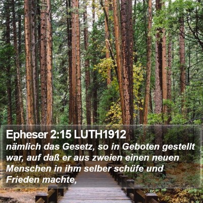 Epheser 2:15 LUTH1912 Bible Verse Image