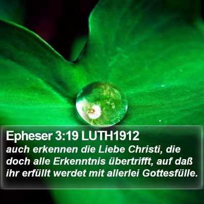 Epheser 3:19 LUTH1912 Bible Verse Image