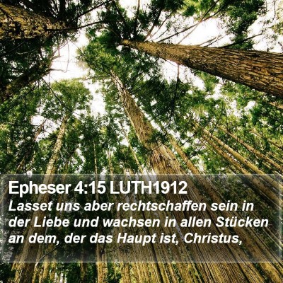 Epheser 4:15 LUTH1912 Bible Verse Image
