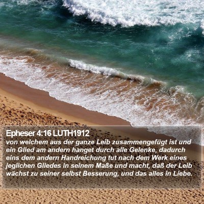 Epheser 4:16 LUTH1912 Bible Verse Image