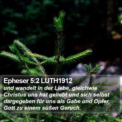 Epheser 5:2 LUTH1912 Bible Verse Image