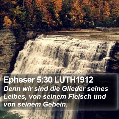 Epheser 5:30 LUTH1912 Bible Verse Image