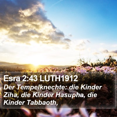Esra 2:43 LUTH1912 Bible Verse Image