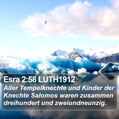 Esra 2:58 LUTH1912 Bible Verse Image