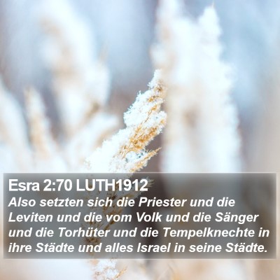 Esra 2:70 LUTH1912 Bible Verse Image