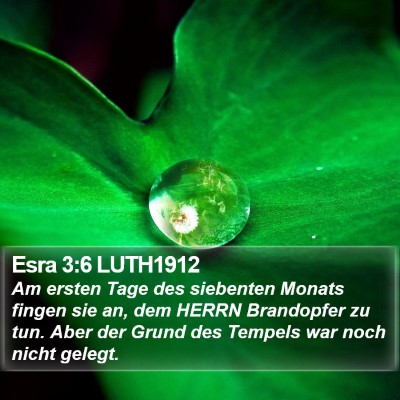 Esra 3:6 LUTH1912 Bible Verse Image
