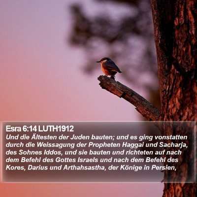 Esra 6:14 LUTH1912 Bible Verse Image