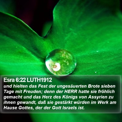 Esra 6:22 LUTH1912 Bible Verse Image