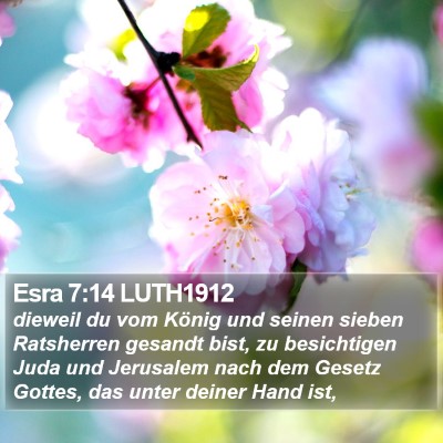 Esra 7:14 LUTH1912 Bible Verse Image