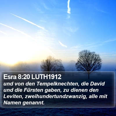 Esra 8:20 LUTH1912 Bible Verse Image