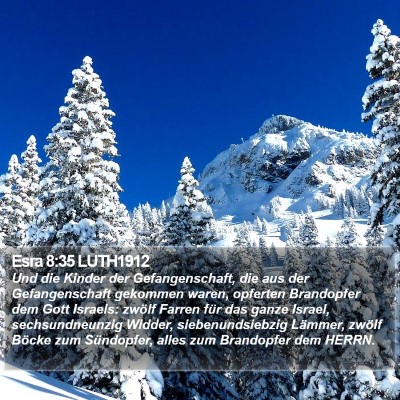 Esra 8:35 LUTH1912 Bible Verse Image