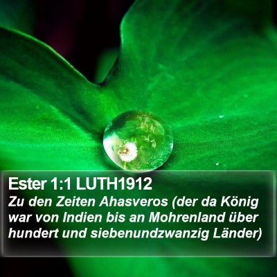 Ester 1:1 LUTH1912 Bible Verse Image