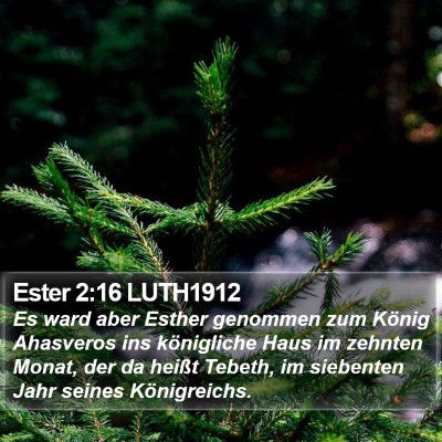 Ester 2:16 LUTH1912 Bible Verse Image