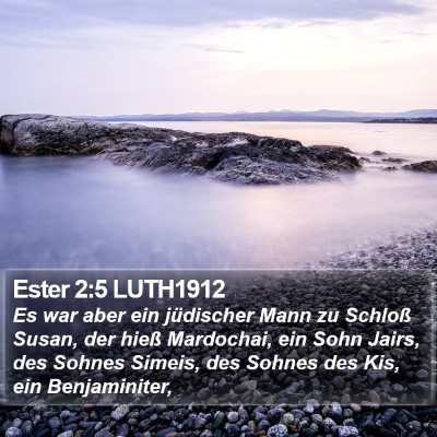 Ester 2:5 LUTH1912 Bible Verse Image