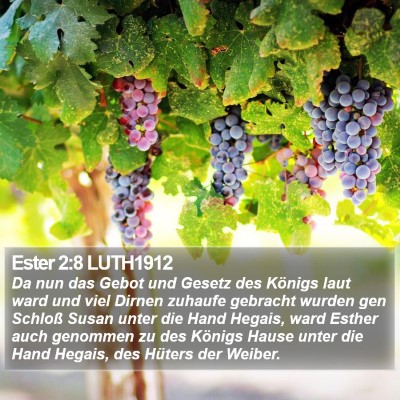 Ester 2:8 LUTH1912 Bible Verse Image
