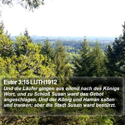 Ester 3:15 LUTH1912 Bible Verse Image