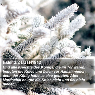 Ester 3:2 LUTH1912 Bible Verse Image
