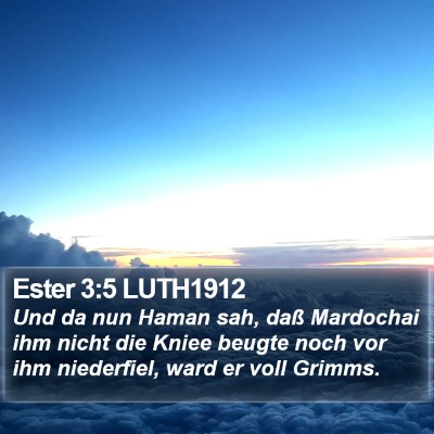 Ester 3:5 LUTH1912 Bible Verse Image