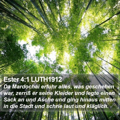 Ester 4:1 LUTH1912 Bible Verse Image