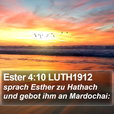Ester 4:10 LUTH1912 Bible Verse Image