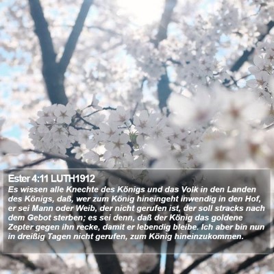 Ester 4:11 LUTH1912 Bible Verse Image