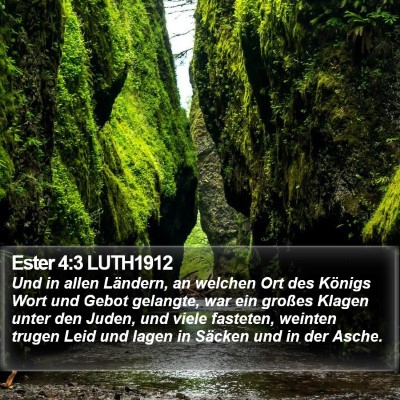 Ester 4:3 LUTH1912 Bible Verse Image